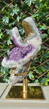 Load image into Gallery viewer, TREX AMETHYST ON SPINNING STAND