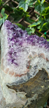 Load image into Gallery viewer, TREX AMETHYST ON SPINNING STAND