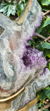 Load image into Gallery viewer, TREX AMETHYST ON SPINNING STAND