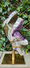 Load image into Gallery viewer, TREX AMETHYST ON SPINNING STAND