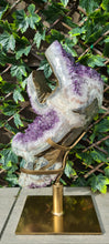 Load image into Gallery viewer, TREX AMETHYST ON SPINNING STAND
