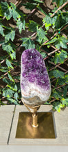 Load image into Gallery viewer, TREX AMETHYST ON SPINNING STAND