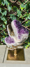 Load image into Gallery viewer, TREX AMETHYST ON SPINNING STAND