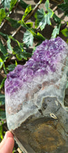 Load image into Gallery viewer, TREX AMETHYST ON SPINNING STAND