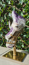 Load image into Gallery viewer, TREX AMETHYST ON SPINNING STAND