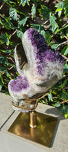 Load image into Gallery viewer, TREX AMETHYST ON SPINNING STAND