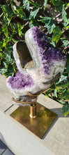 Load image into Gallery viewer, TREX AMETHYST ON SPINNING STAND
