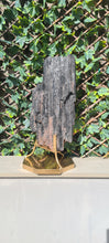 Load image into Gallery viewer, Tourmaline & Mica HUGE XXL on Gold Custom stand - Grounding protection crystal