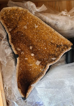 Load image into Gallery viewer, CITRINE wings with 6ft wingspan