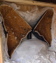 Load image into Gallery viewer, CITRINE wings with 6ft wingspan