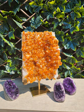 Load image into Gallery viewer, Citrine Cluster on gold Stand - Citrine Raw