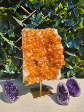 Load image into Gallery viewer, Citrine Cluster on gold Stand - Citrine Raw