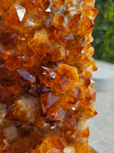 Load image into Gallery viewer, Citrine Cluster on gold Stand - Citrine Raw