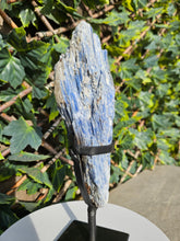 Load image into Gallery viewer, Blue Kyanite on custom made stand