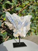 Load image into Gallery viewer, Blue Kyanite on custom made stand