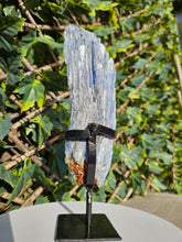 Load image into Gallery viewer, Blue Kyanite on custom made stand
