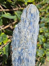 Load image into Gallery viewer, Blue Kyanite on custom made stand