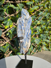 Load image into Gallery viewer, Blue Kyanite on custom made stand