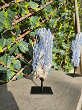 Load image into Gallery viewer, Blue Kyanite on custom made stand