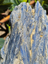 Load image into Gallery viewer, Blue Kyanite on custom made stand