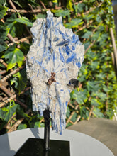 Load image into Gallery viewer, Blue Kyanite on custom made stand