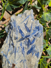 Load image into Gallery viewer, Blue Kyanite on custom made stand