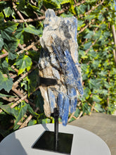 Load image into Gallery viewer, Blue Kyanite on custom made stand - The Face