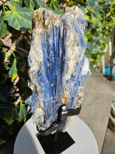 Load image into Gallery viewer, Blue Kyanite on custom made stand - The Face