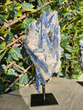 Load image into Gallery viewer, Blue Kyanite on custom made stand - The Face