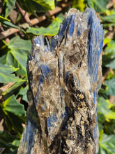 Load image into Gallery viewer, Blue Kyanite on custom made stand