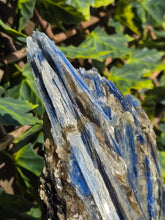 Load image into Gallery viewer, Blue Kyanite on custom made stand