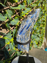 Load image into Gallery viewer, Blue Kyanite on custom made stand