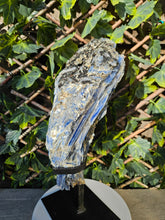 Load image into Gallery viewer, Blue Kyanite on custom made stand