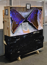 Load image into Gallery viewer, CITRINE wings with 6ft wingspan