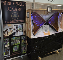 Load image into Gallery viewer, CITRINE wings with 6ft wingspan