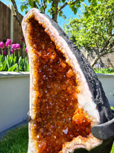 Load image into Gallery viewer, Heated Citrine Angel wings Butterfly wings on stand - MONARCH