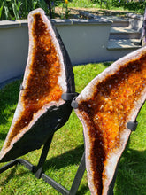 Load image into Gallery viewer, Heated Citrine Angel wings Butterfly wings on stand - MONARCH