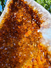 Load image into Gallery viewer, Heated Citrine Angel wings Butterfly wings on stand - MONARCH