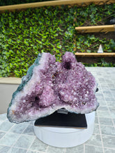 Load image into Gallery viewer, Amethyst from Uruguay on stand - Hidden secret's Active