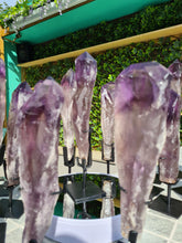 Load image into Gallery viewer, HUGE XL Amethyst Wand / Root on stand from Brazil AAA+ 500g to 650g