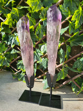 Load image into Gallery viewer, HUGE XL Amethyst Wand / Root on stand from Brazil AAA+ 500g to 650g