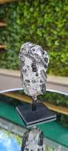 Load image into Gallery viewer, TOURMALINE QUARTZ ON STAND