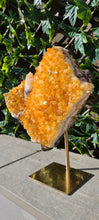Load image into Gallery viewer, Citrine Cluster on gold Stand - Druzy - Yellow - Citrine Raw