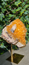 Load image into Gallery viewer, Citrine Cluster on gold Stand - Druzy - Yellow - Citrine Raw