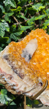 Load image into Gallery viewer, Citrine Cluster on gold Stand - Druzy - Yellow - Citrine Raw