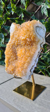 Load image into Gallery viewer, Citrine Cluster on gold Stand - Druzy - Yellow - Citrine Raw