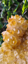 Load image into Gallery viewer, Citrine Cluster on gold Stand - Druzy - Yellow - Citrine Raw