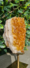 Load image into Gallery viewer, Citrine Cluster on gold Stand - Druzy - Yellow - Citrine Raw