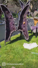 Load and play video in Gallery viewer, Heated Citrine Angel wings Butterfly wings on stand - MONARCH