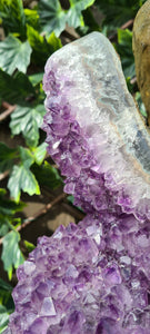 TREX AMETHYST ON SPINNING STAND